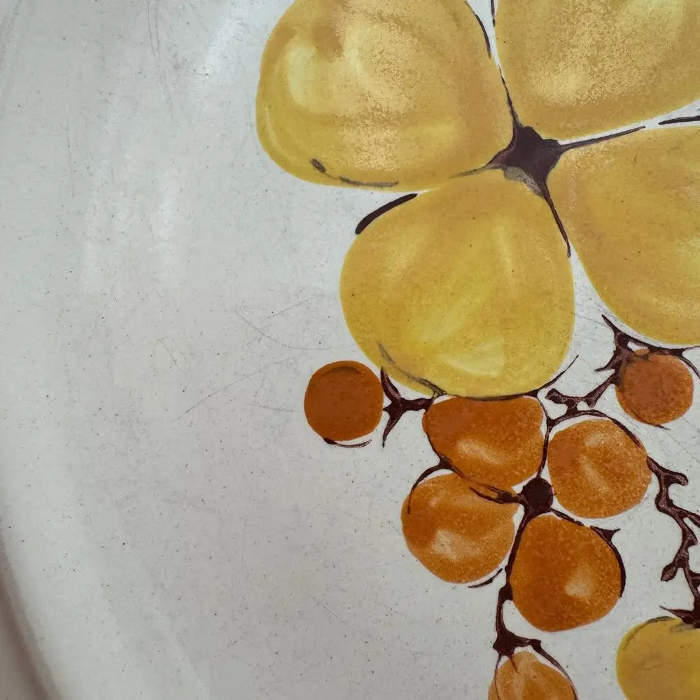 Vintage Dinner Plate Tropicana by Stonecrest Andre Ponche Collection